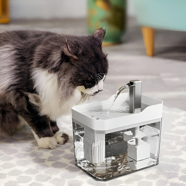 DRINKY® - FONTANELLA AUTOMATICA DI ACQUA PER GATTI CON FILTRO E RICIRCOLO